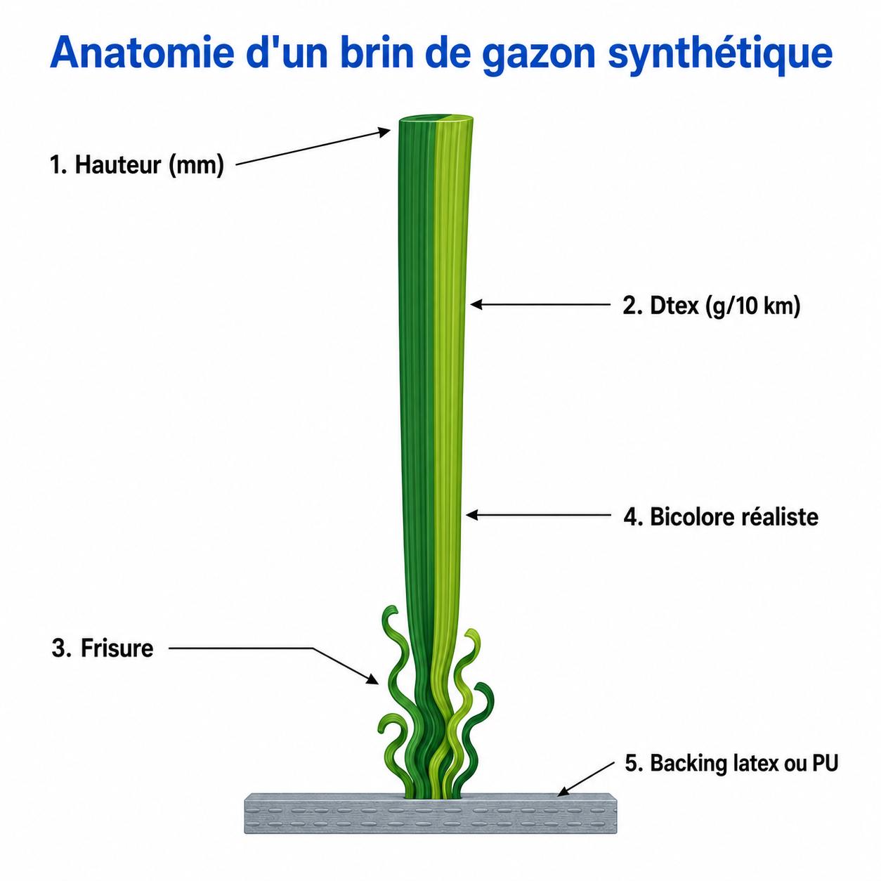 Anatomie d'un brin de gazon synth&eacute;tique : hauteur, densit&eacute; Dtex, frisure, couleur et dossier de soutien